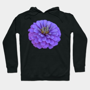 purple flower Hoodie